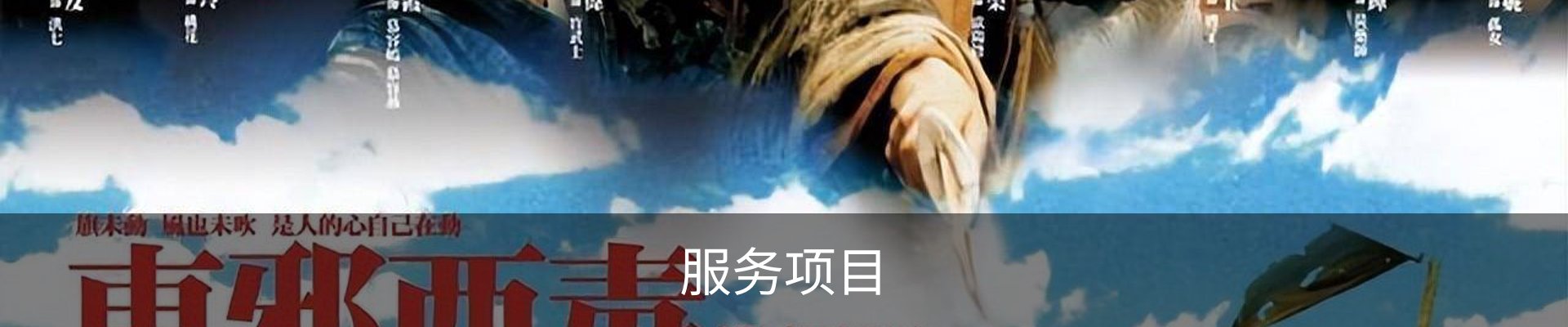 服务项目